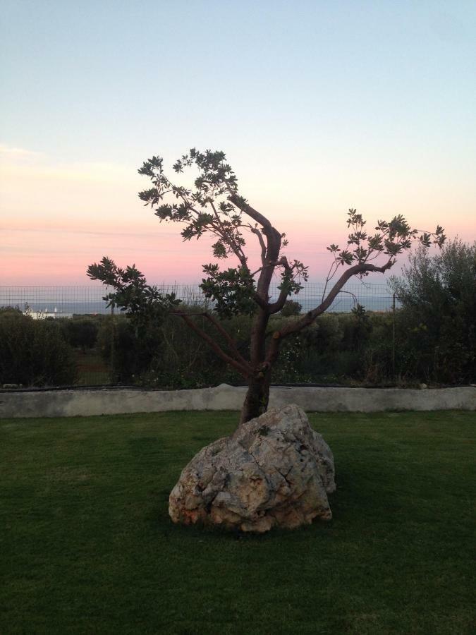 Villa Giuseppina Monopoli Eksteriør billede